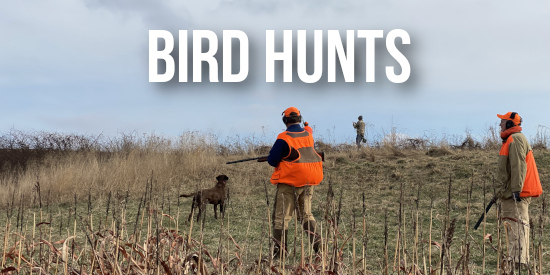Bird Hunting in Kentucky