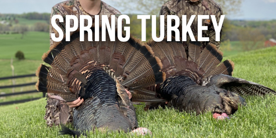 Spring Turkey Hunts Kentucky